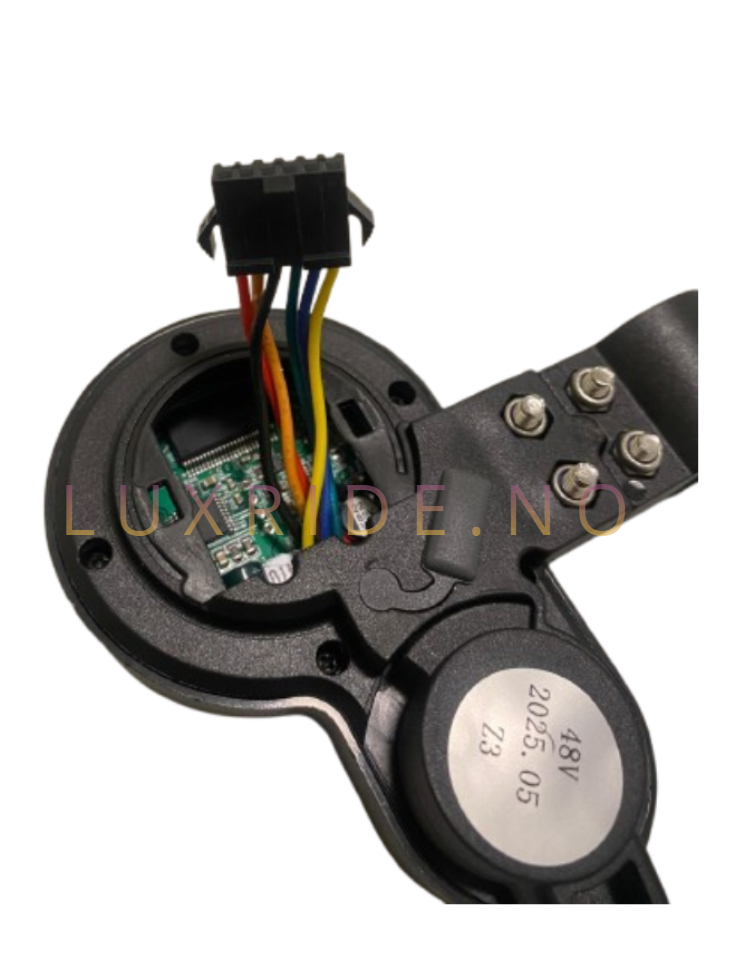 JP display gass Type 2 elsparkesykkel | LuxRide