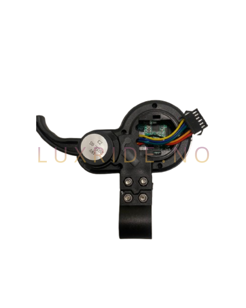 JP display/ gass / skjerm E-wheels og classywalk. type 2