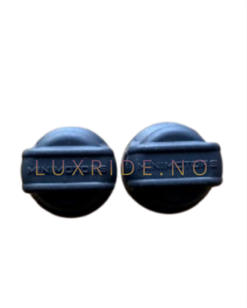 Motor mutter beskyttelse Dualtron | LuxRide
